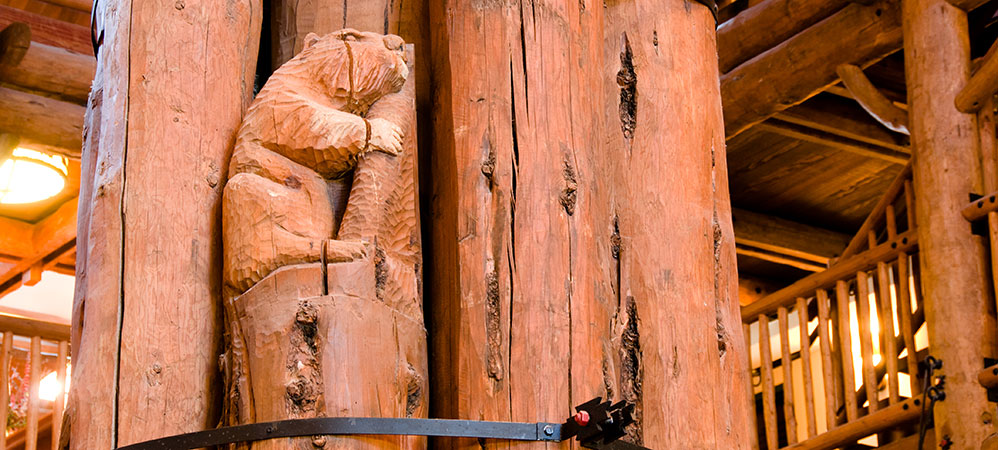 Wilderness Lodge STORY