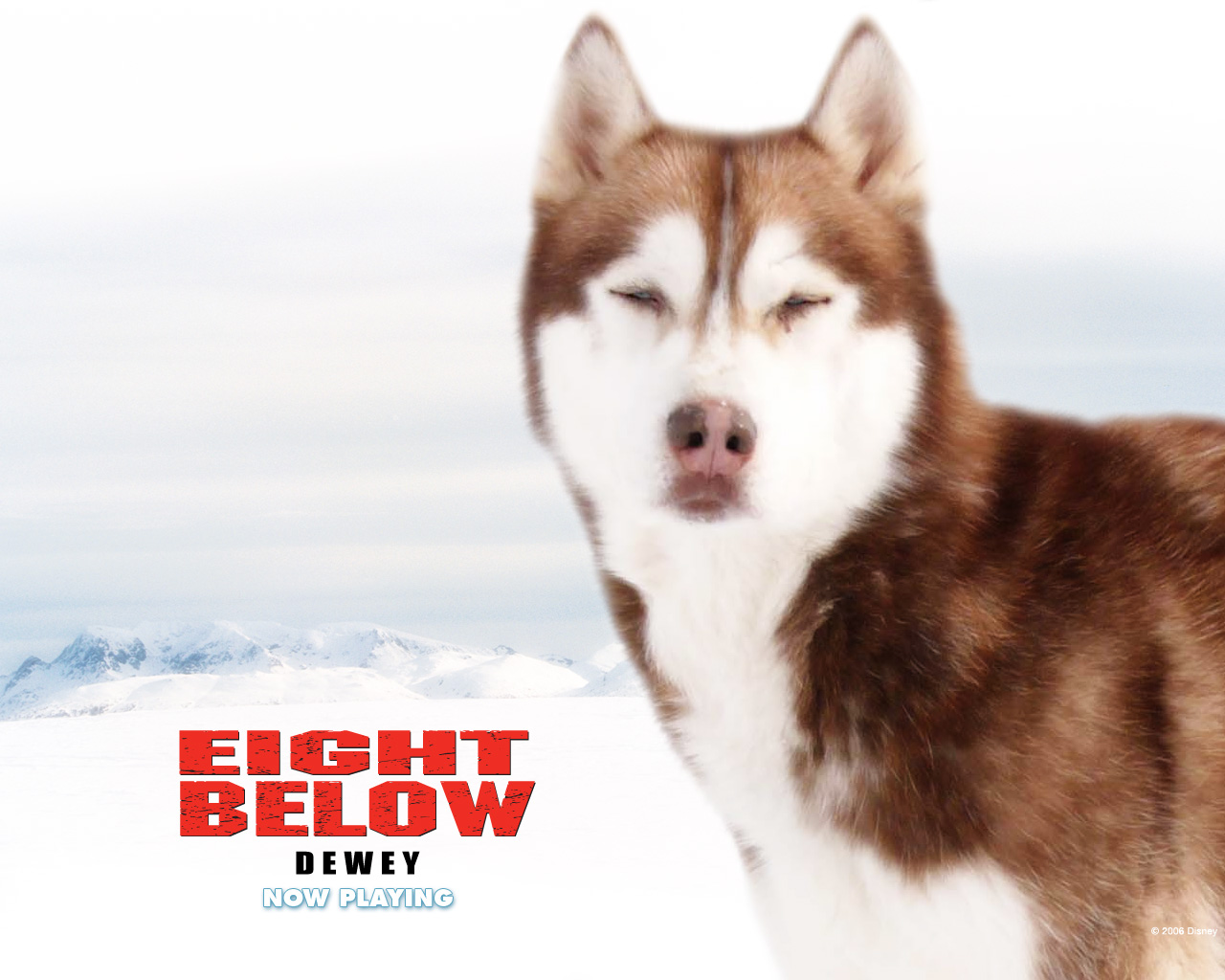 Eight Below-dewey