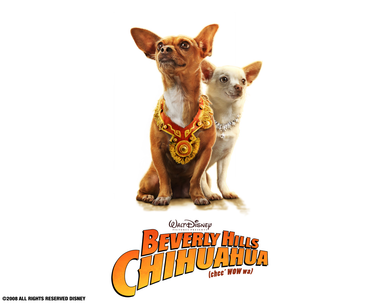 Beverly-Hills-Chihuahua-1280