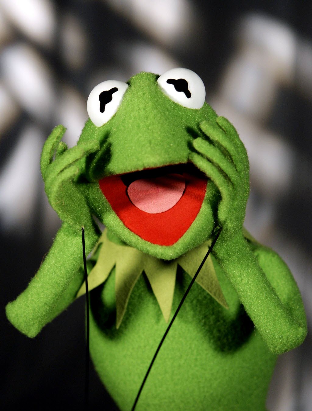 kermit