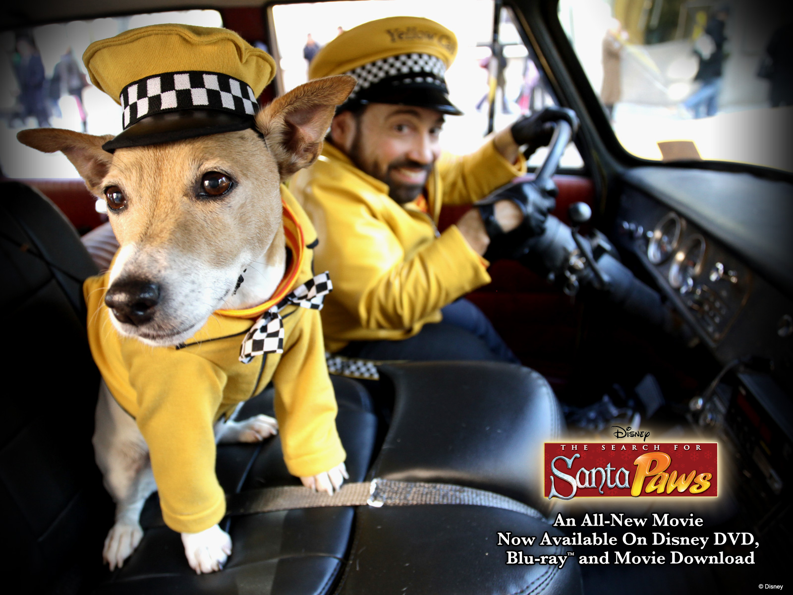 santaPaws eddy-and-eli 1600
