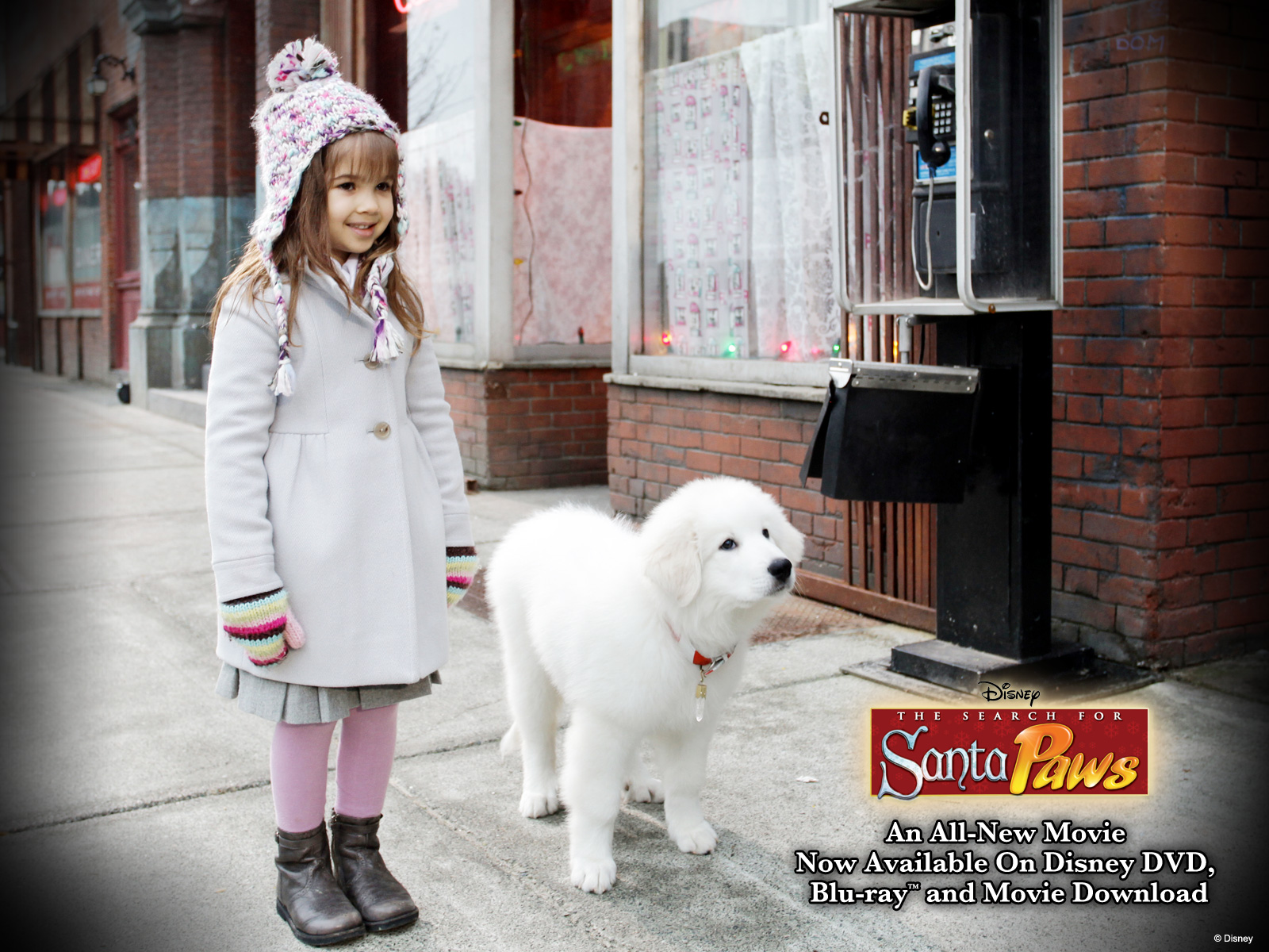 santaPaws quinn 1600