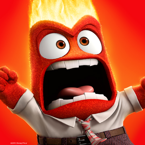 inside out Anger profile