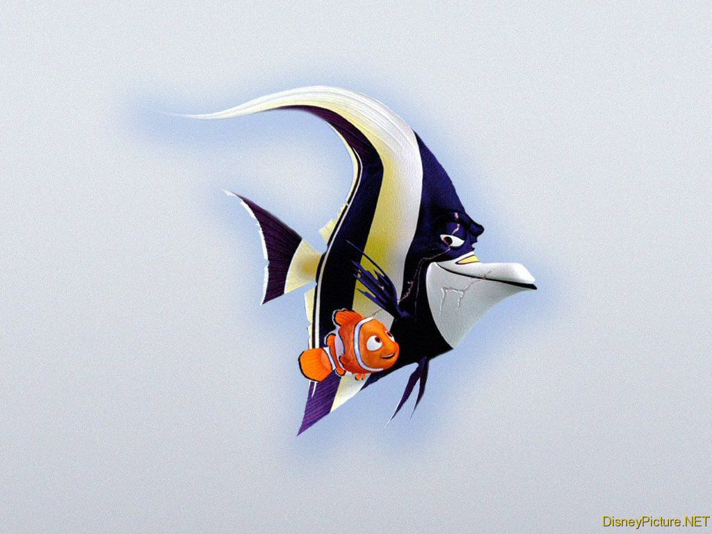 free Nemo 1024x768