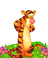Tigra 03