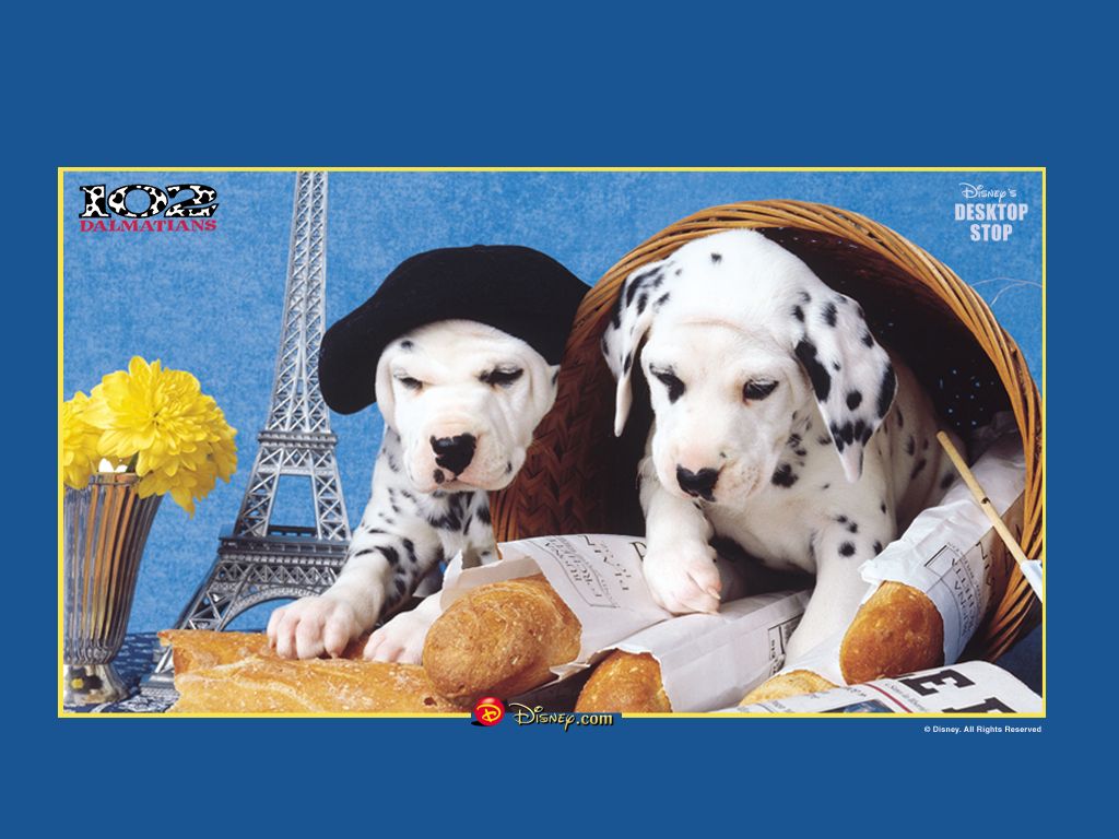 free 102 Dalmatians 1024