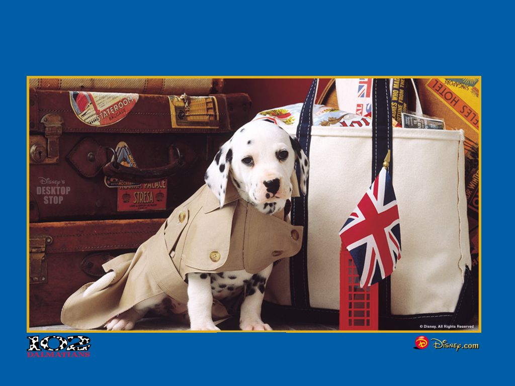 free 102 Dalmatians 800x600