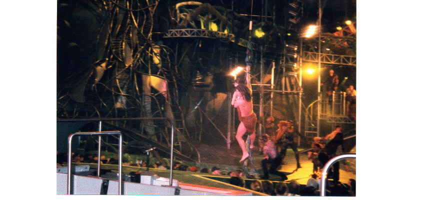 disney Animal Kingdom Tarzan