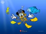 mickey sea