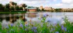 Coronado-Springs -Resort-lake