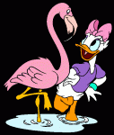 Daisy Duck funny clips