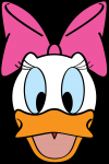 Daisy head