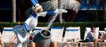 All-Star-Sports -Resort-animate