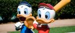 All-Star-Sports -Resort-ducks