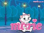 marie 800