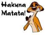 Timon-disney