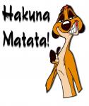 Timon disney