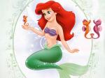 Ariel wallpaper 1024x768