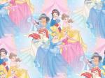 disney princesess picture