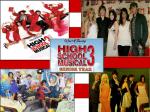HSM3