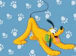 pluto desktop