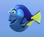 dory fish