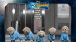 space buddies 1920