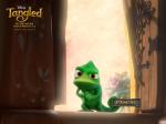 tangled pascal 1600