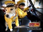 santaPaws eddy-and-eli 1024