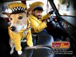 santaPaws eddy-and-eli 1600