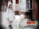 santaPaws quinn 1600