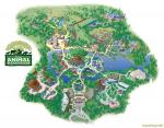 Animal Kingdom Park map