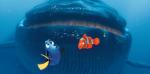 sweet nemo dory