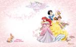Disney Princess invitation