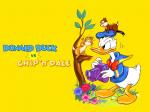 chip and dale duck