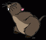 Gopher