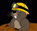 Gopher 1024x768