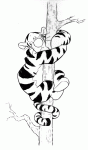 disney colouring 845