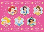 Disney Princesses face cover