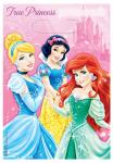 disney sparkle princess