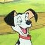 101 Dalmatians avatar