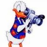 Duck avatar