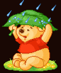 Winnie 23