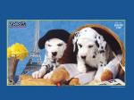free 102 Dalmatians 1024