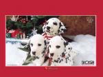 free 102 Dalmatians free