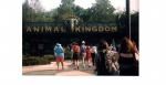 disney Animal Kingdom Entrance