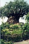 disney tree of life