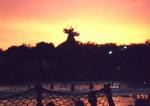 disney lagoon sunset
