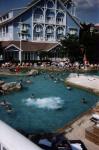 disney beach club pool